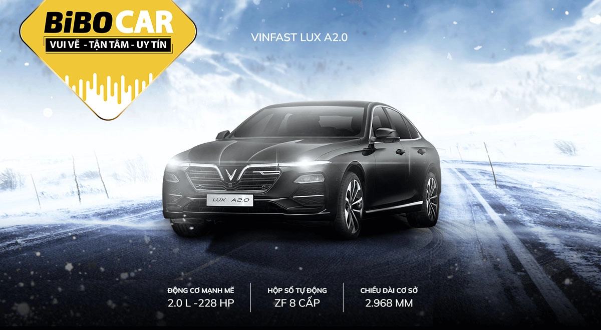 Thu mua xe ô tô cũ	 Vinfast